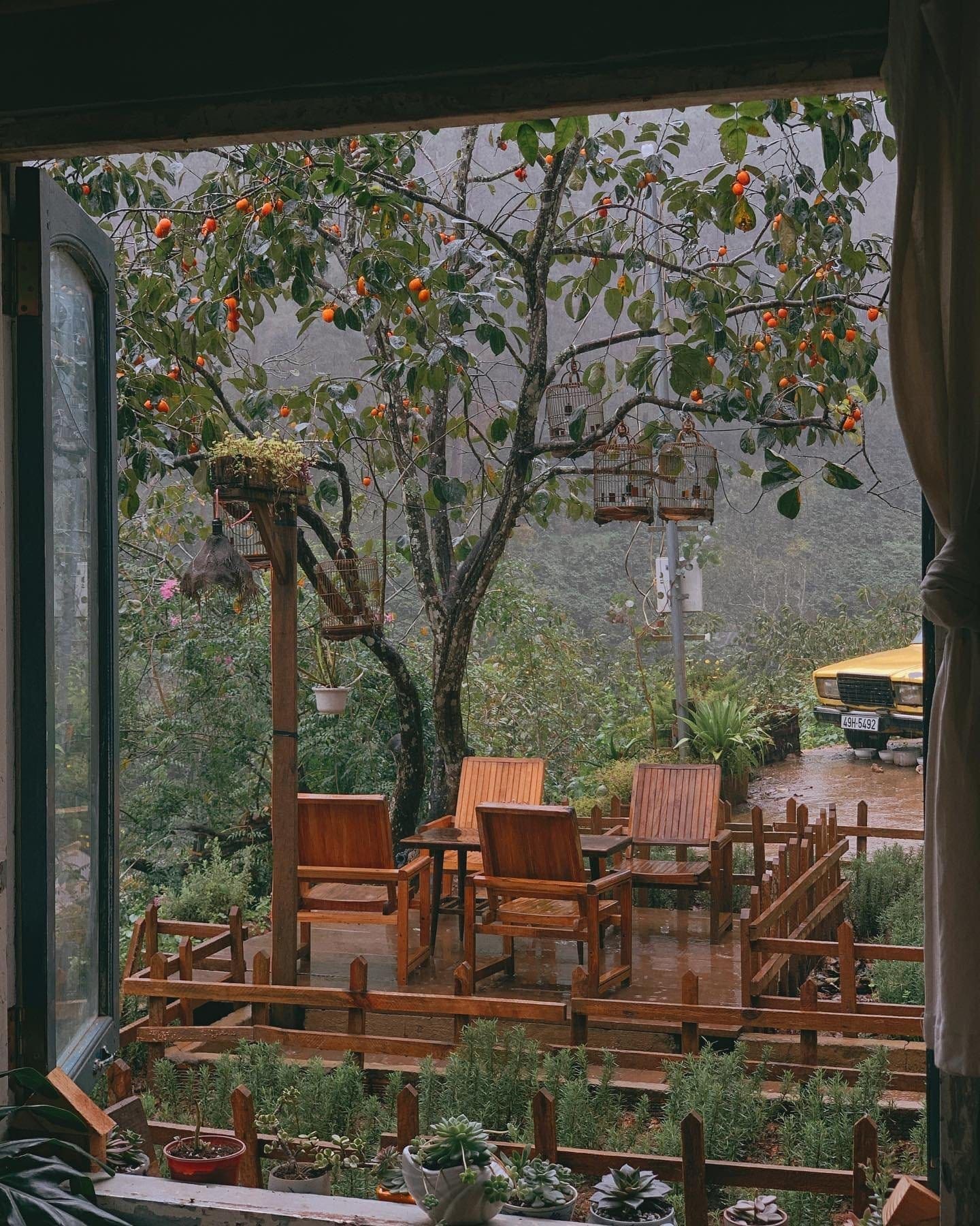 Lưng Chừng Cafe Đà Lạt - Bình Yên Bên Lưng Đồi 6 Lưng chừng cafe Đà lạt