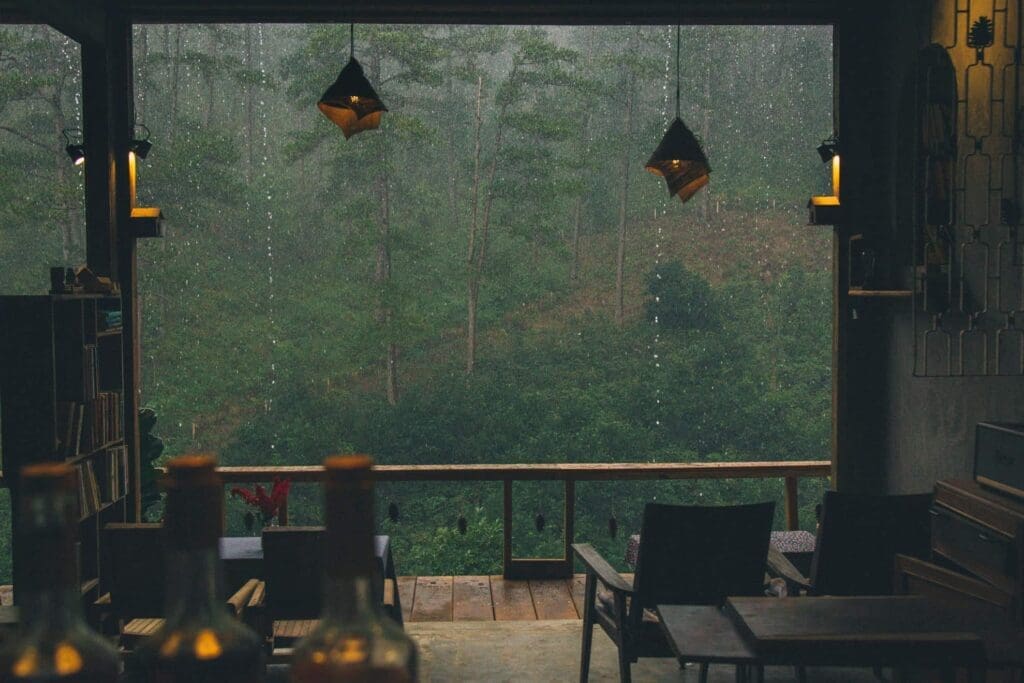 Lưng Chừng Cafe Đà Lạt - Bình Yên Bên Lưng Đồi 5 Lưng Chừng Cafe