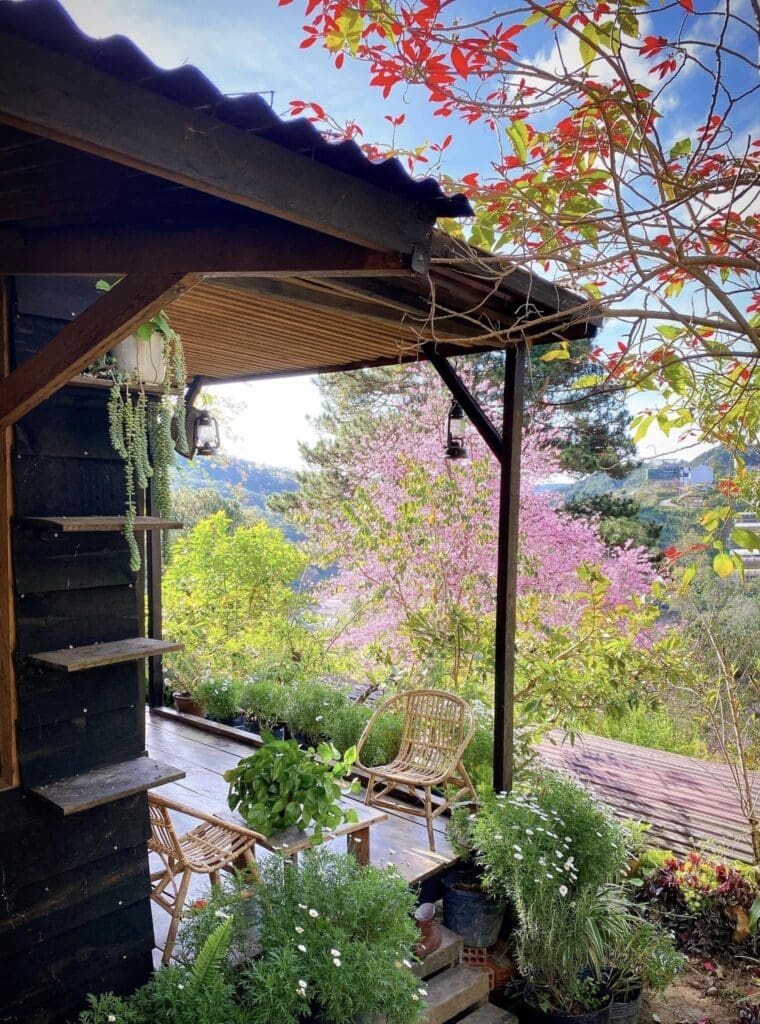 Top 20 homestay Đà Lạt view đẹp mà bạn không thể bỏ qua 15 homestay Đà Lạt view đẹp
