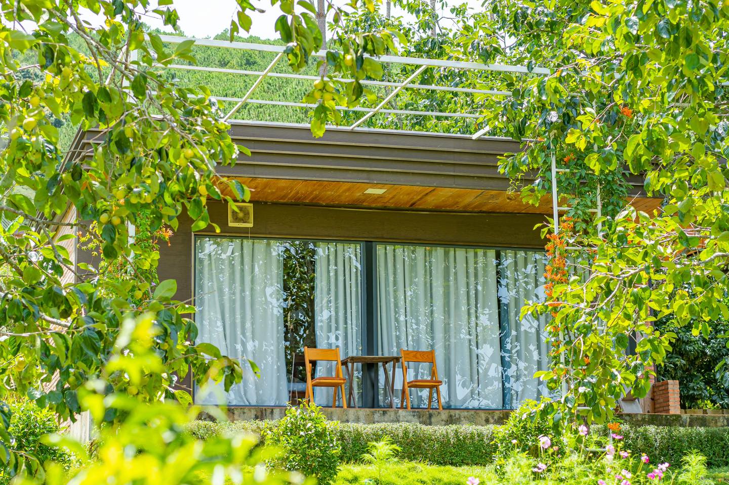 Top 20 homestay Đà Lạt view đẹp mà bạn không thể bỏ qua 23 homestay Đà Lạt view đẹp