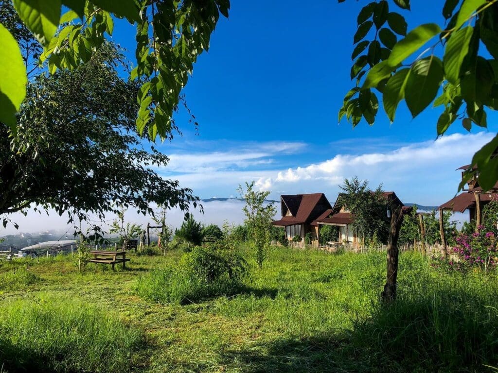 Top 20 homestay Đà Lạt view đẹp mà bạn không thể bỏ qua 12 Bình Yên House Homestay Đà Lạt