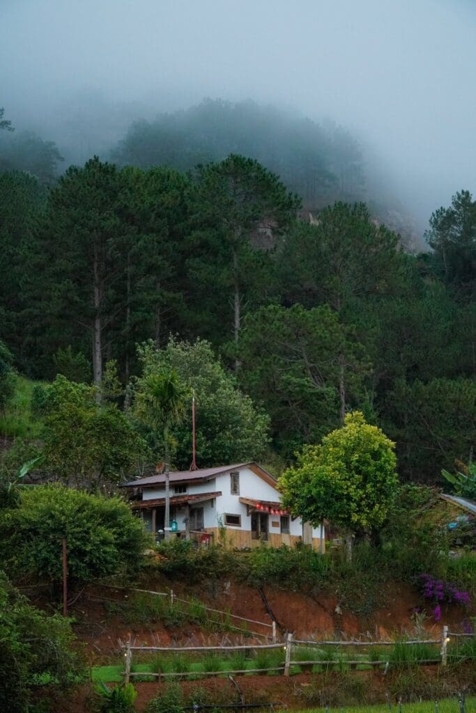 Hidden Land Dalat, tiệm cafe ấm áp, ẩn mình giữa những triền đồi xanh mướt của Đà Lạt 5